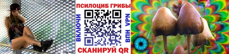 цены наркотик  Дивногорск  Галлюциногенные грибы GOLDEN TEACHER 
